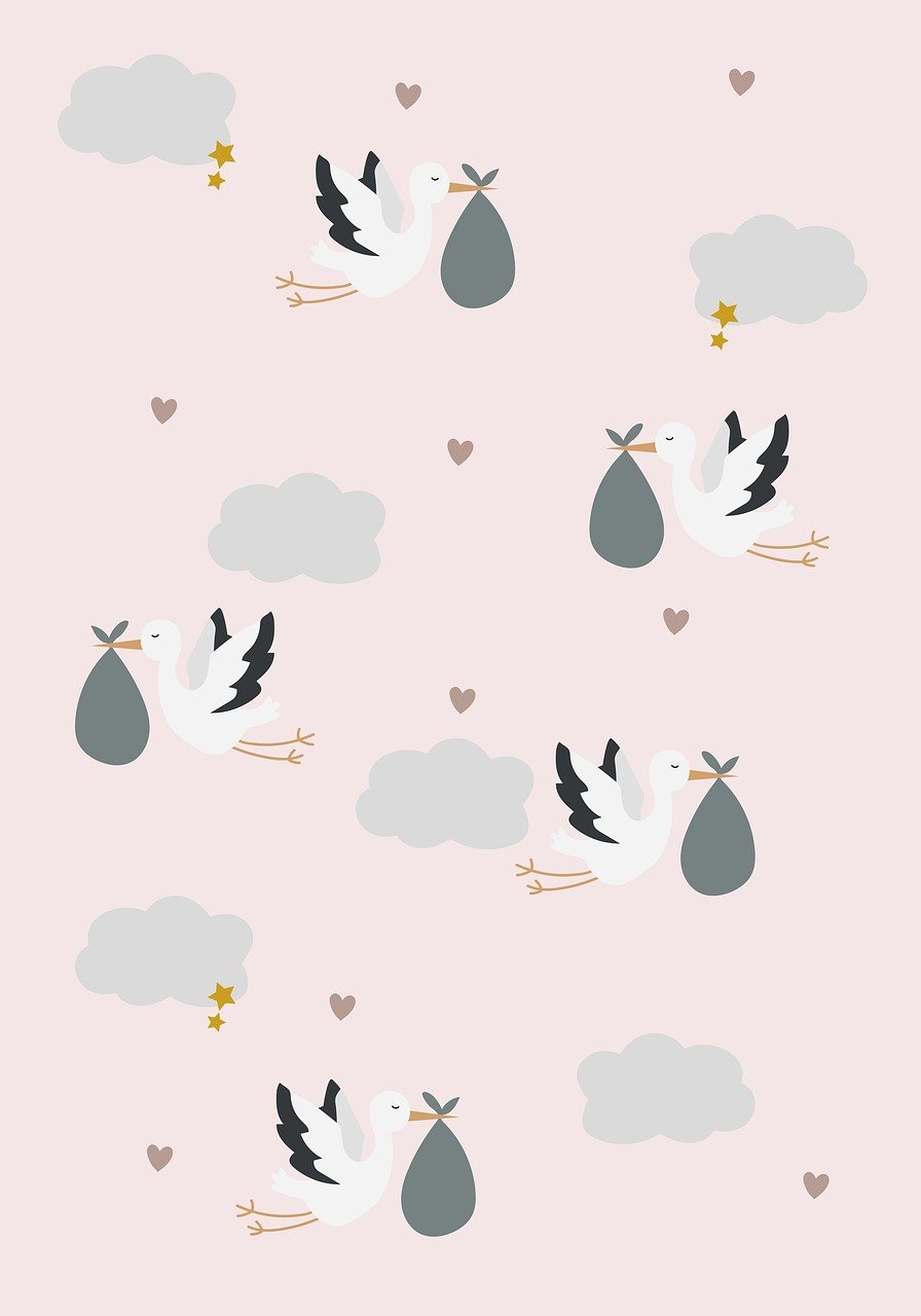 산모·신생아건강관리지원