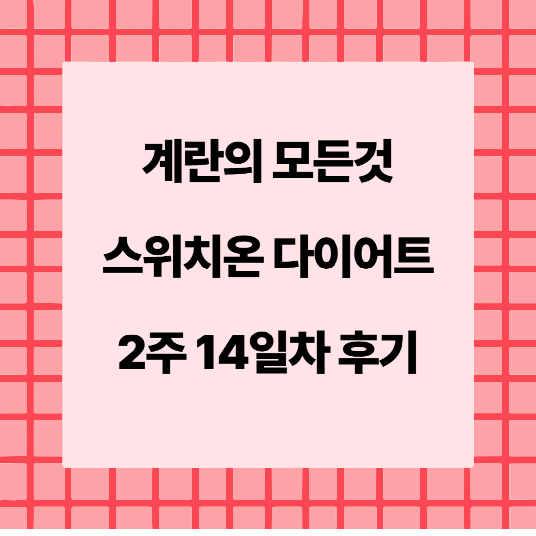 계란의 모든것 스위치온 다이어트 2주 14일차
