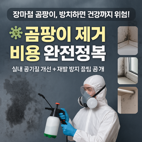 장마철 곰팡이 제거 썸네일 이미지입니다.
