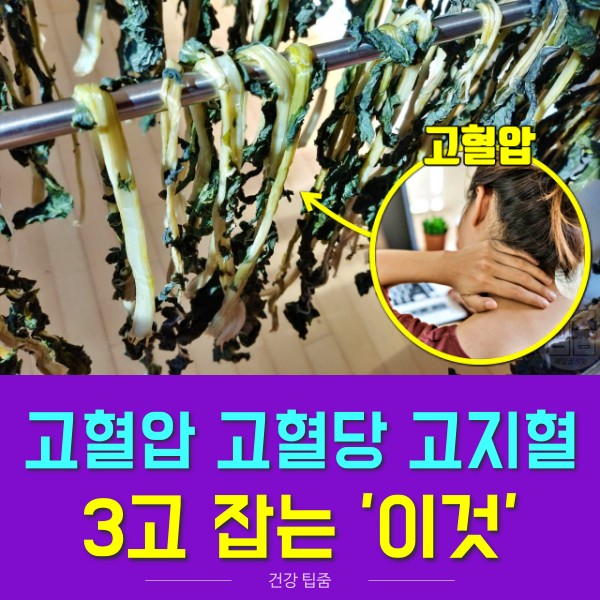 고혈압 고혈당 고지혈증 좋음 음식 시래기 효능, 생활 건강 팁줌 매일꿀정보
