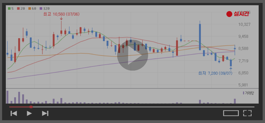 요소수 관련주 Top5 (대장주, 테마주)