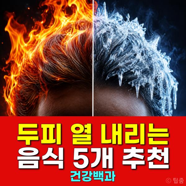 두피 열 내리는 음식