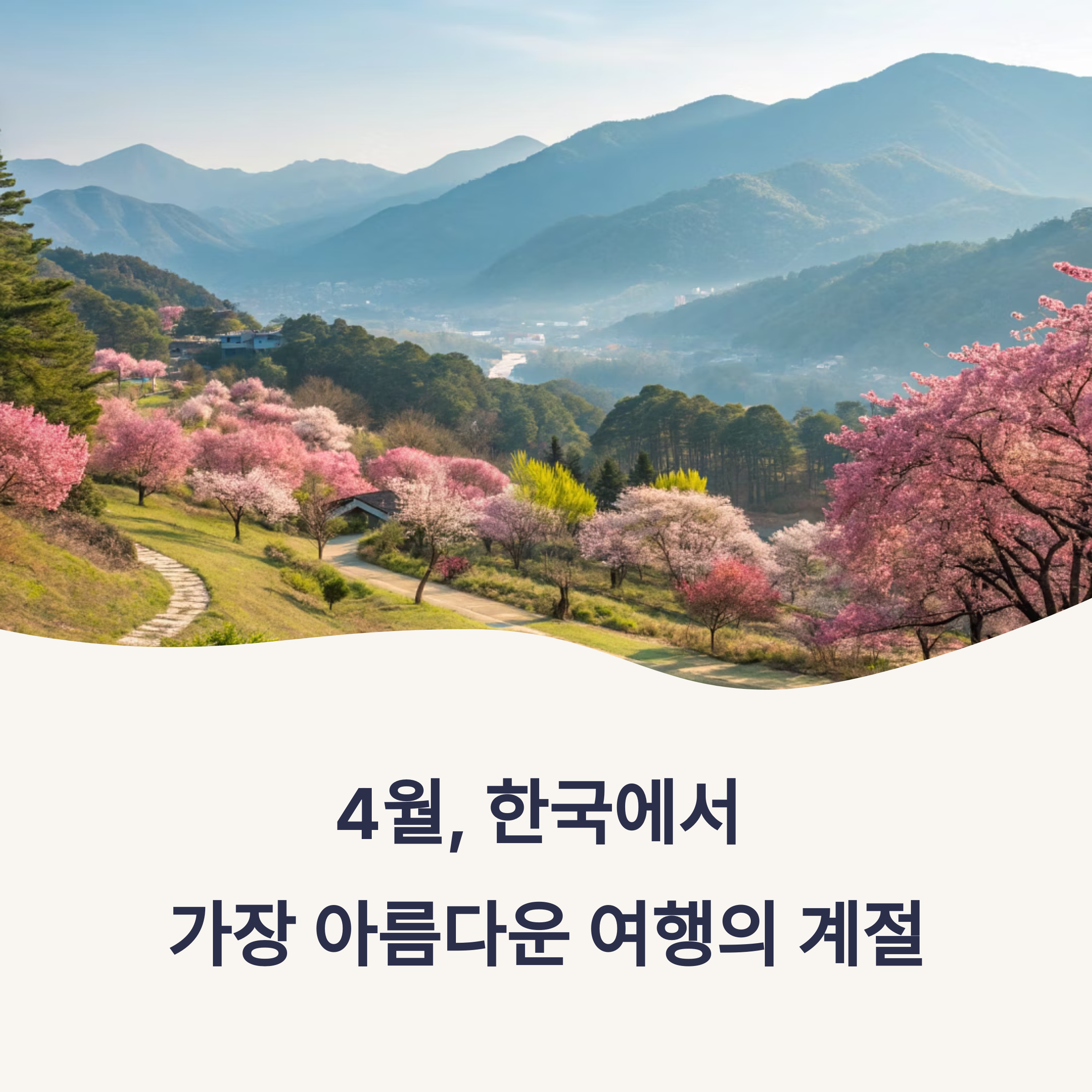 에버랜드 튤립부터 고창 유채꽃까지