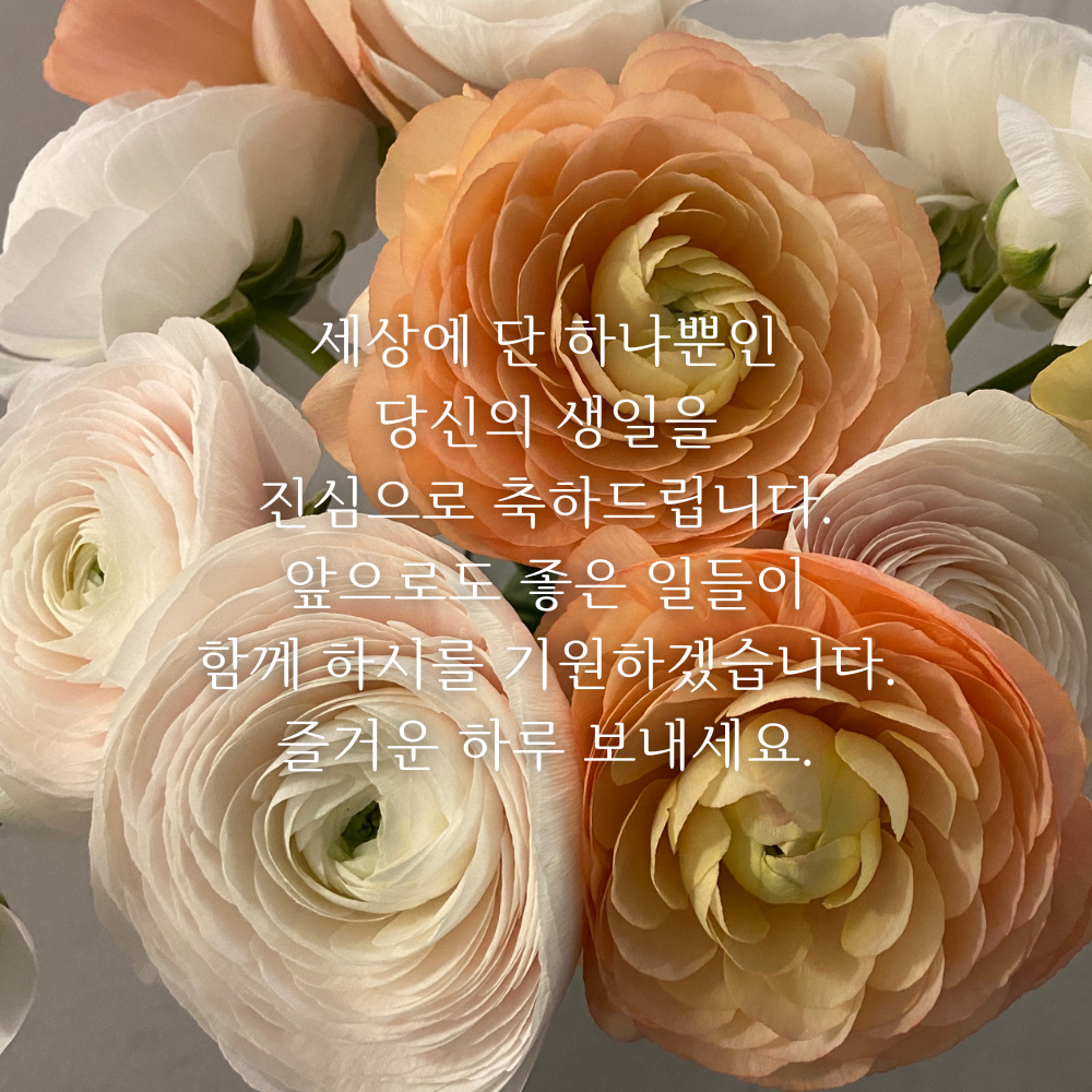 생일 축하 메세지 이미지 생일 축하 꽃다발 이미지 문구 모음