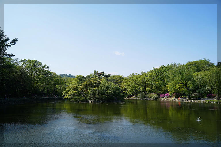 창경궁 춘당지