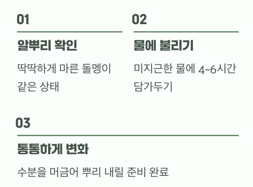 쭈글쭈글한 돌멩이를 깨우는 마법