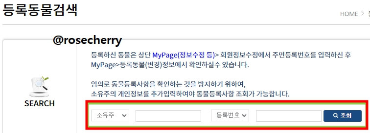 동물등록제-등록번호로-동물검색하는화면