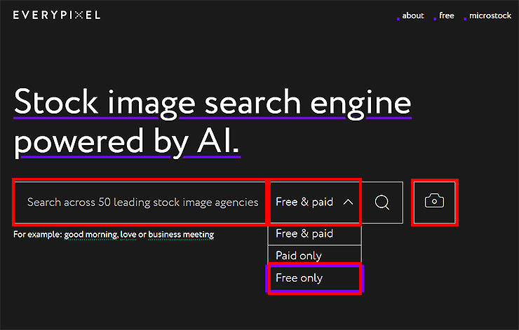 Everypixel-사이트-이미지-검색-페이지