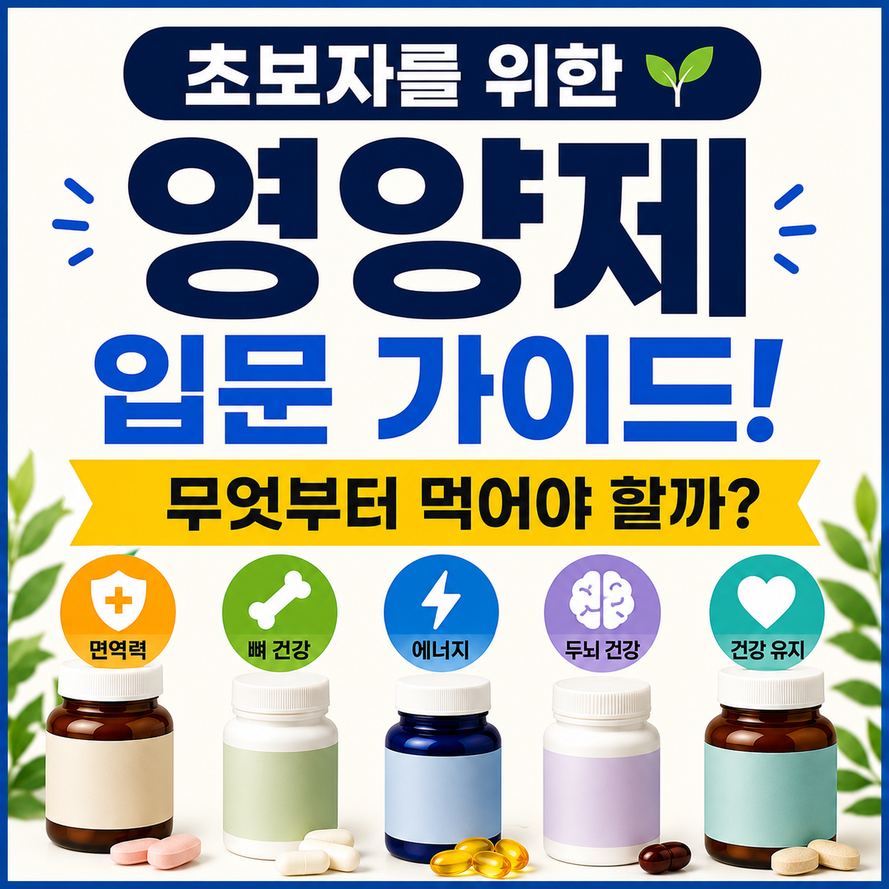 초보자 영양제