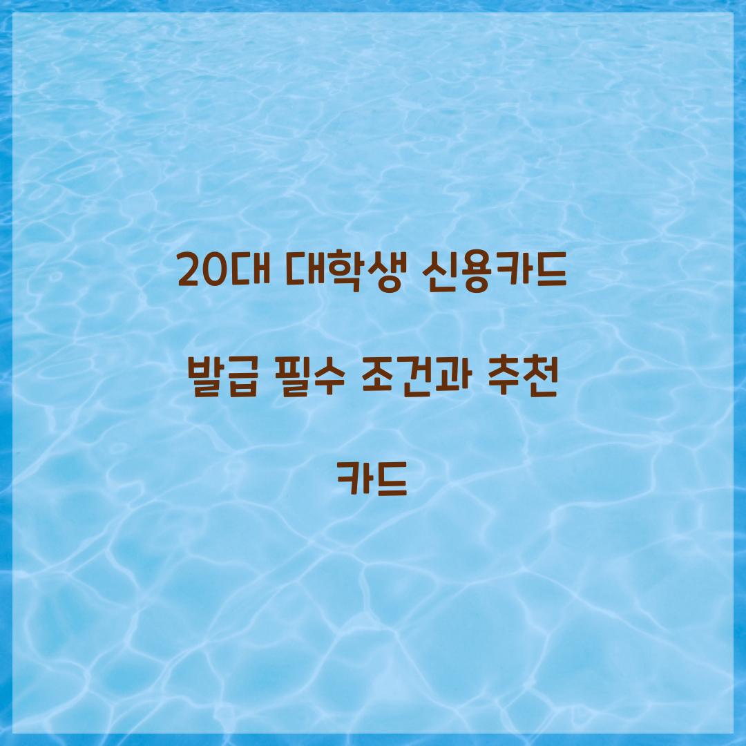 20대 대학생 신용카드 발급