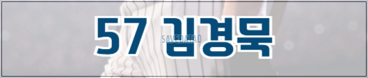 불꽃야구 예매 바로가기(+ 직관 티켓 성공 꿀팁)
