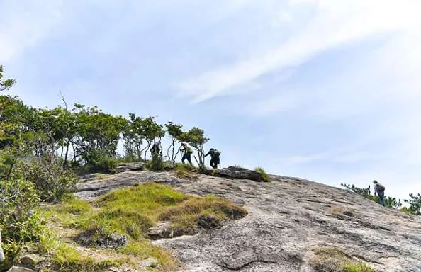 수우도
