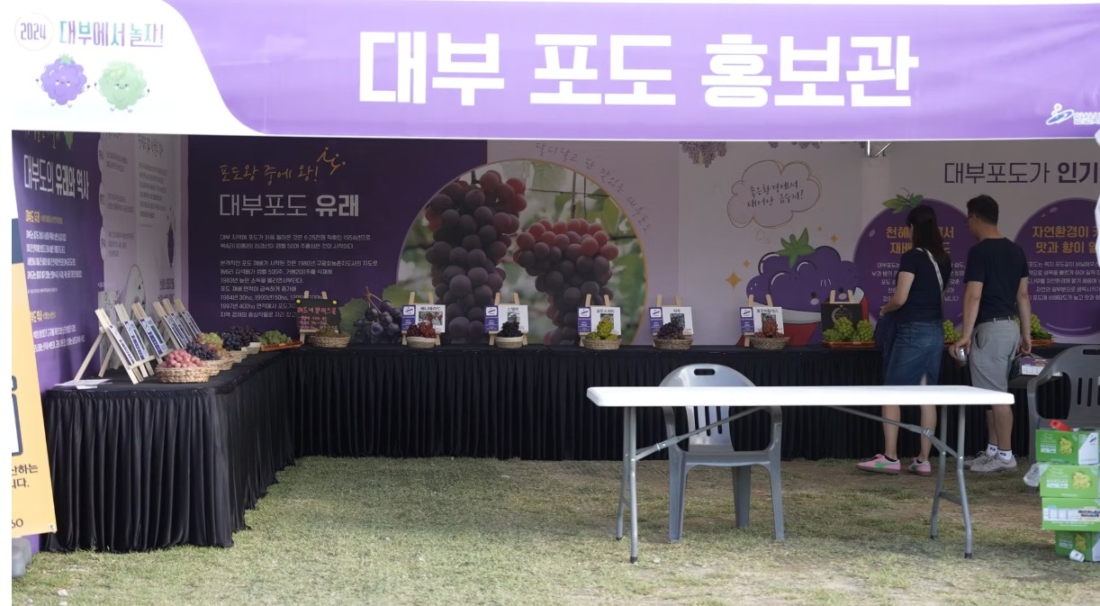 안산 대부포도축제