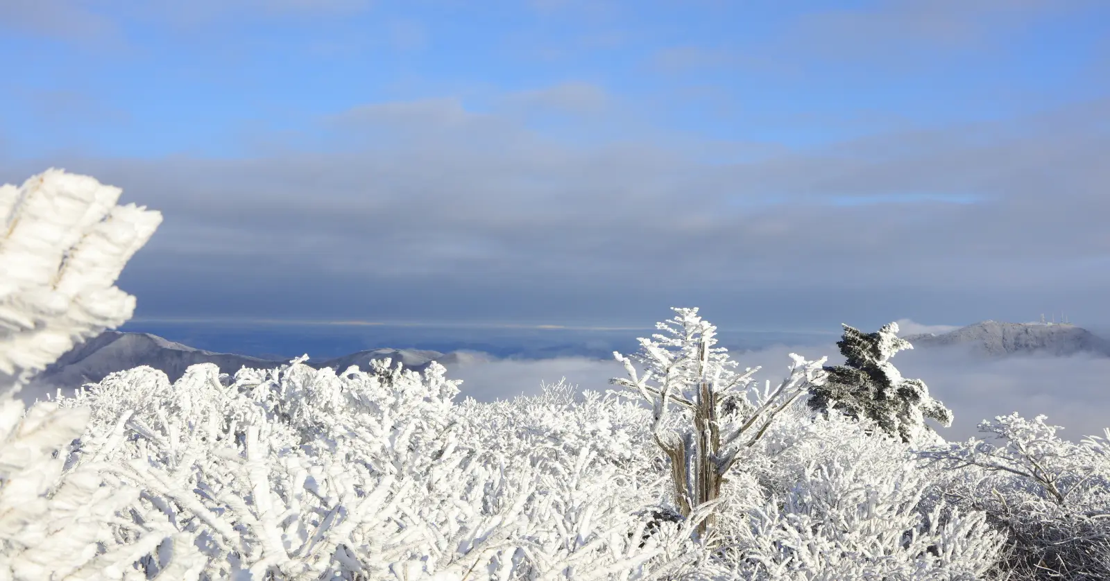 국립공원 실시간 CCTV Q&amp;A