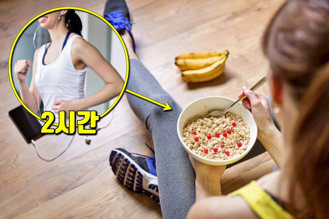 운동후 단백질 섭취 시간, 다이어트, 건강