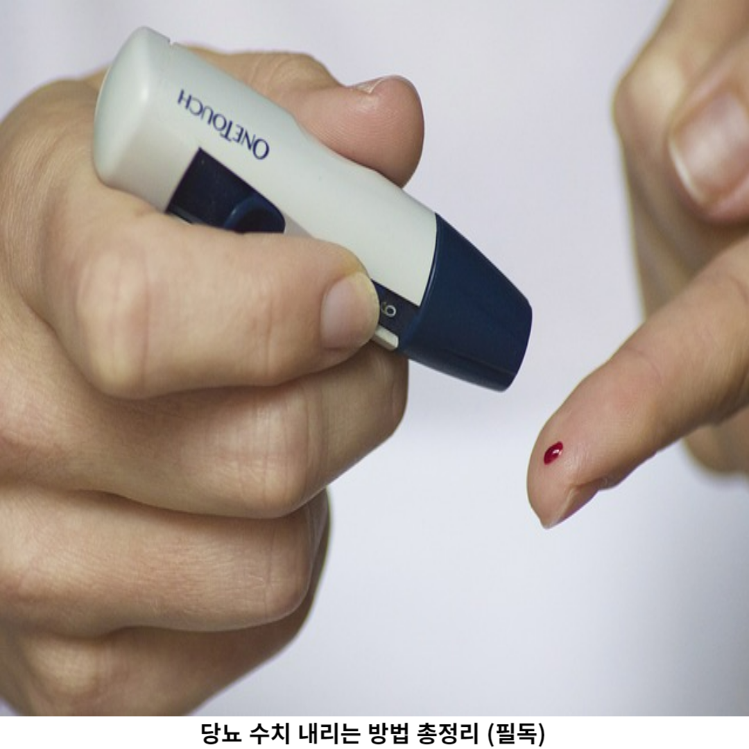 규칙적인 운동