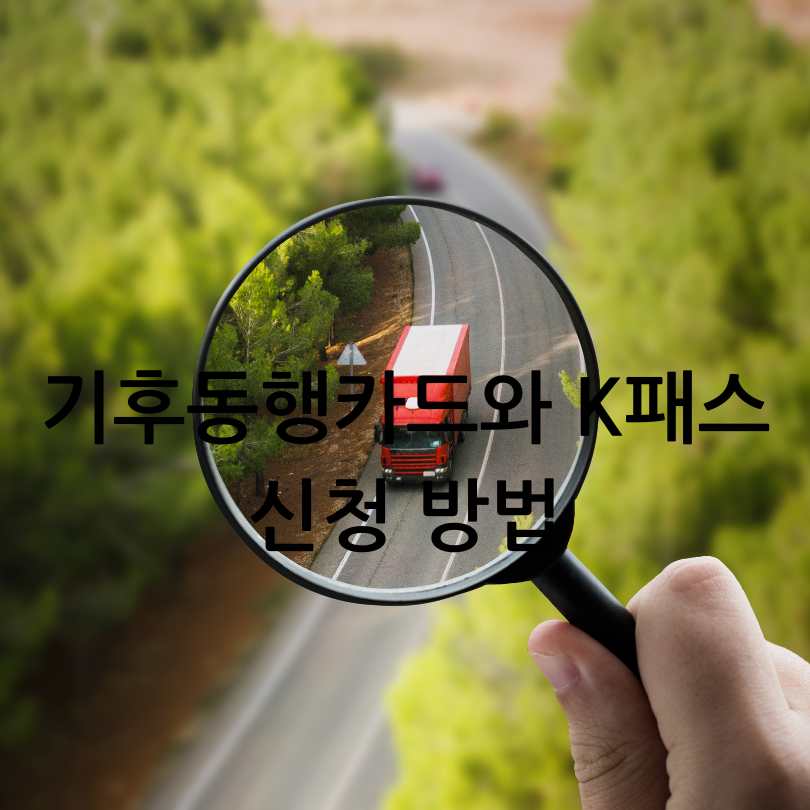 K패스 vs 기후동행카드 비교