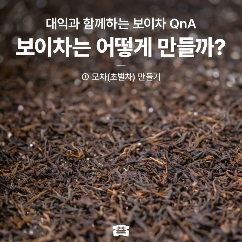 보이차 효능과 부작용에 대한 완벽 정리_4