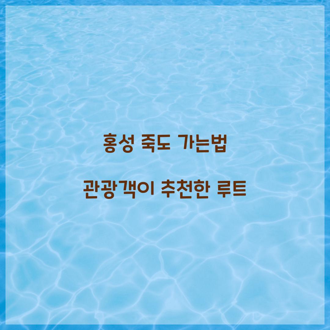 홍성 죽도 가는법 관광객이 추천한 루트