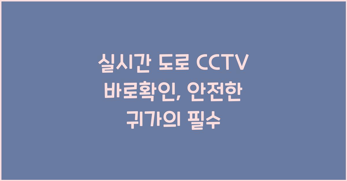 실시간 도로 cctv 바로확인