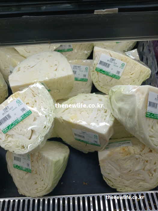 양배추 효능 부작용 찬 식품