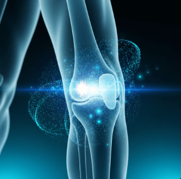 무릎 연골 재생 가능할까?1