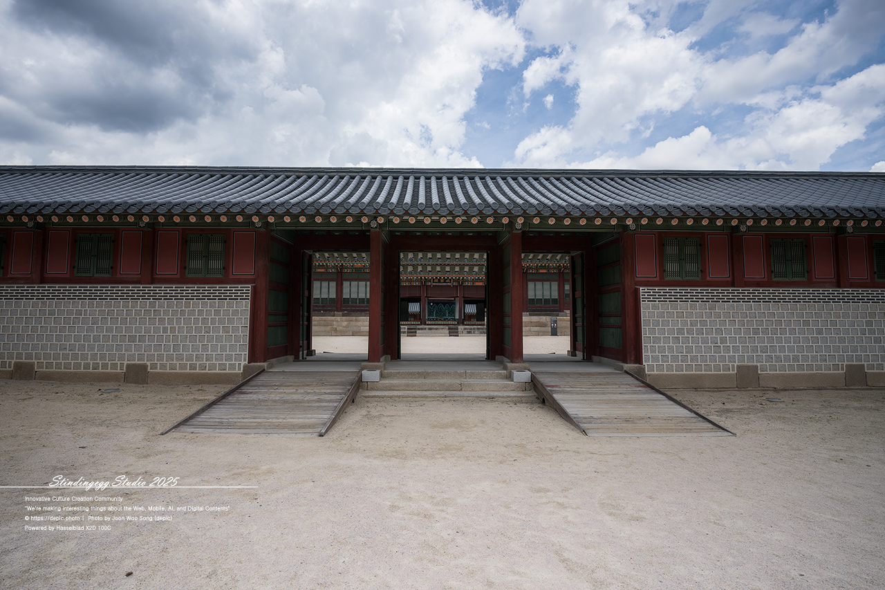 #서울 #대한제국 #덕수궁 #궁궐 #배롱꽃