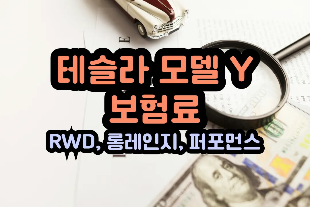 테슬라 모델 Y 보험료