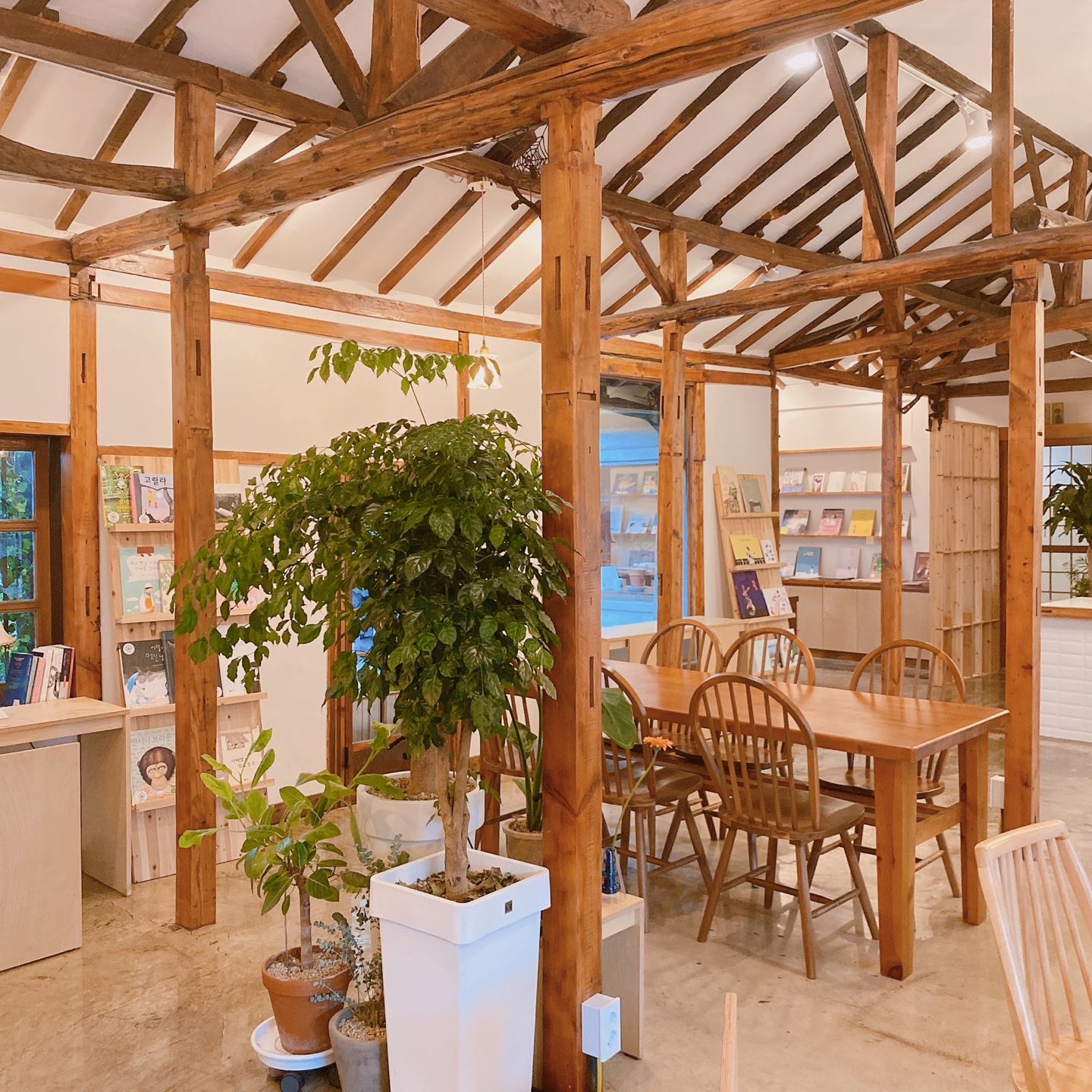 제주 동문시장 주택 구옥개조 북카페 무화과한입