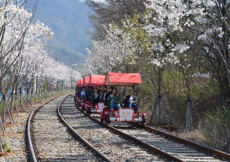 경강 레일바이크