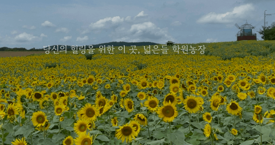 고창 학원 농장 입장료 총정리 관련사진
