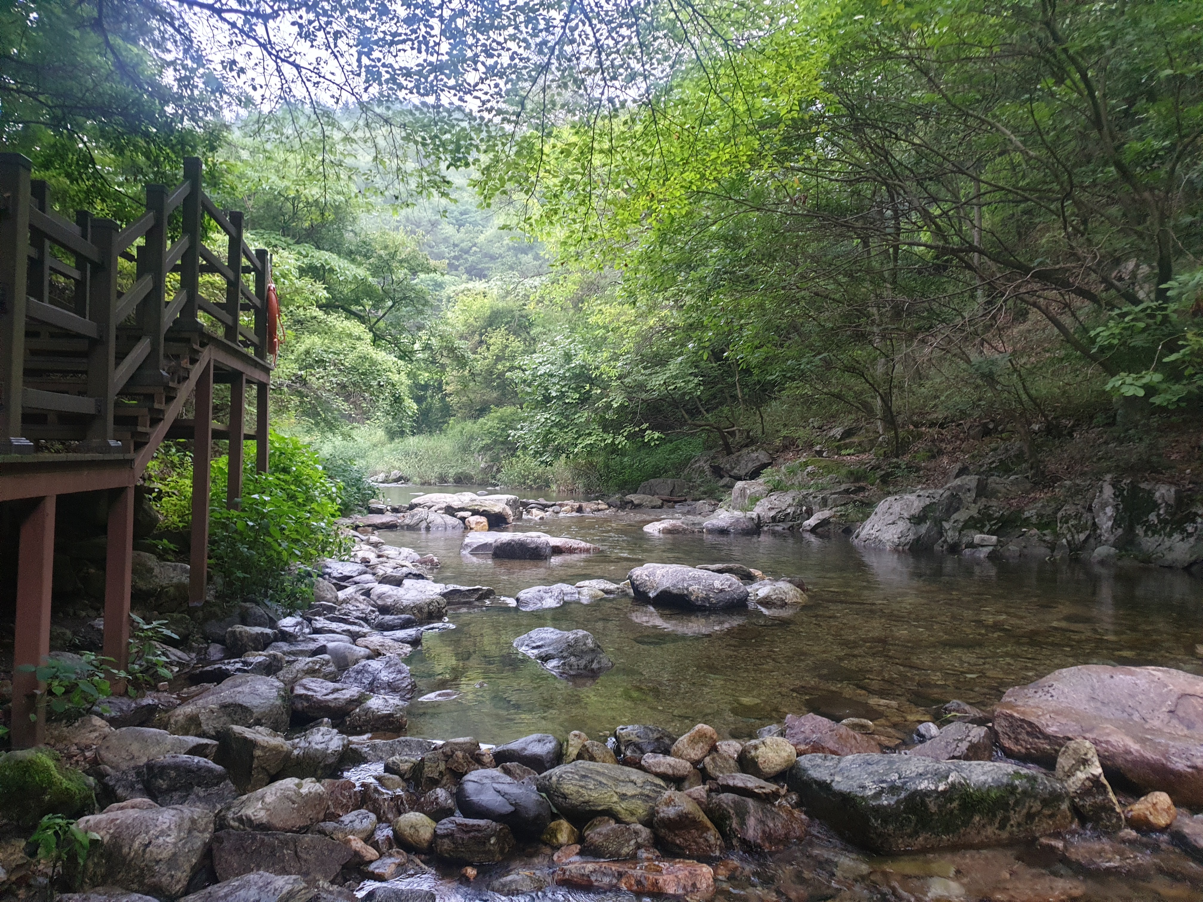 금대야영장