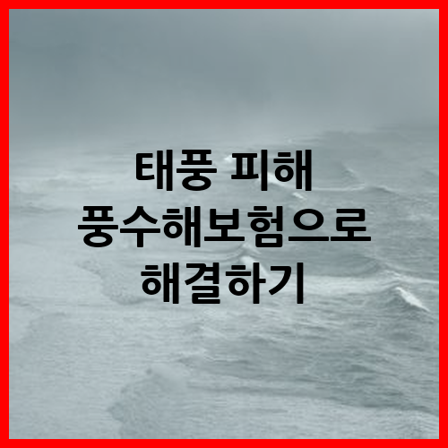 태풍 피해 풍수해보험으로 해결하기