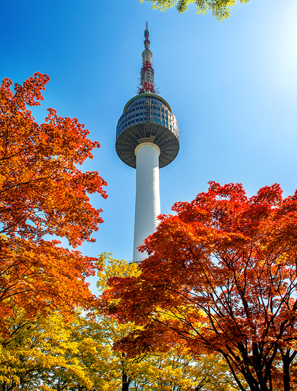 남산 단풍