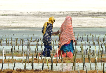 갑상선에 좋은 음식 5