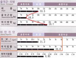 체성분-검사표
