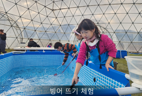 양평딸기 송어축제