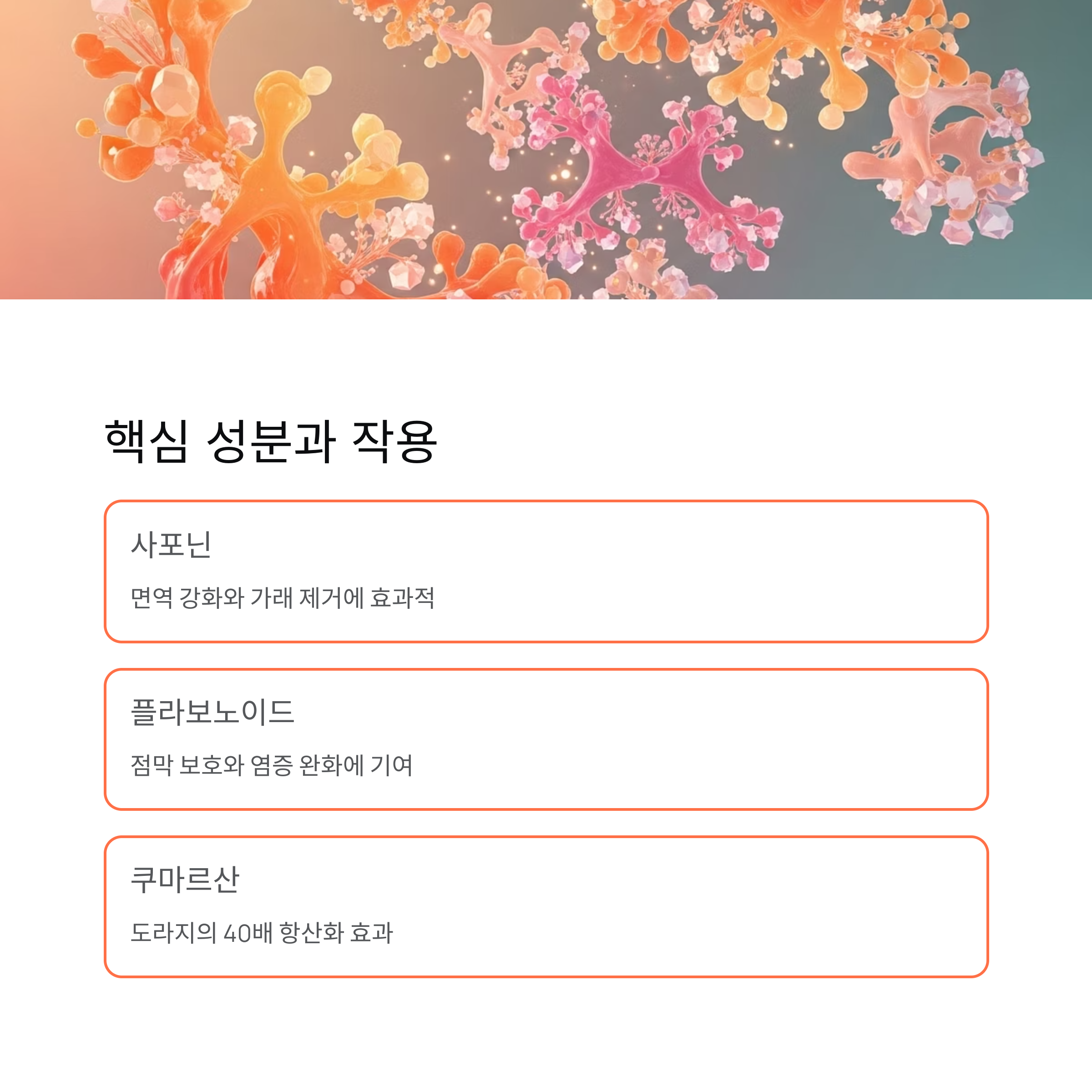 핵심 성분과 작용