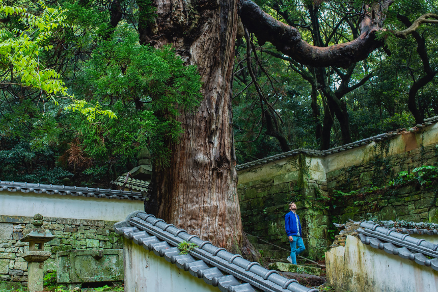 대마도 여행 가이드 2025 &ndash; 가깝지만 색다른 일본 섬 여행