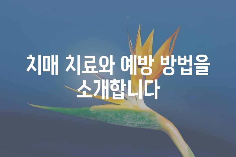 샘플 (45)