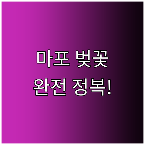 마포구 벚꽃 개화 시기 분석 및 명당..