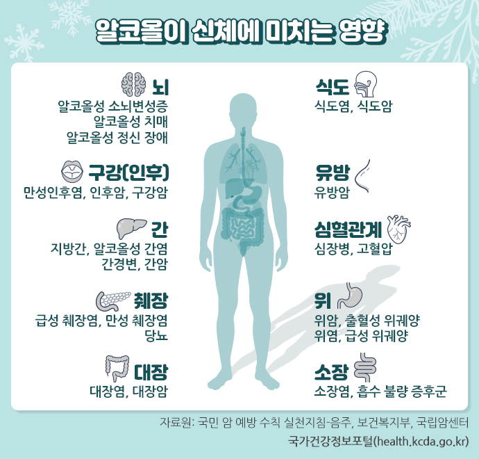 알코올이 신체에 미치는 영향