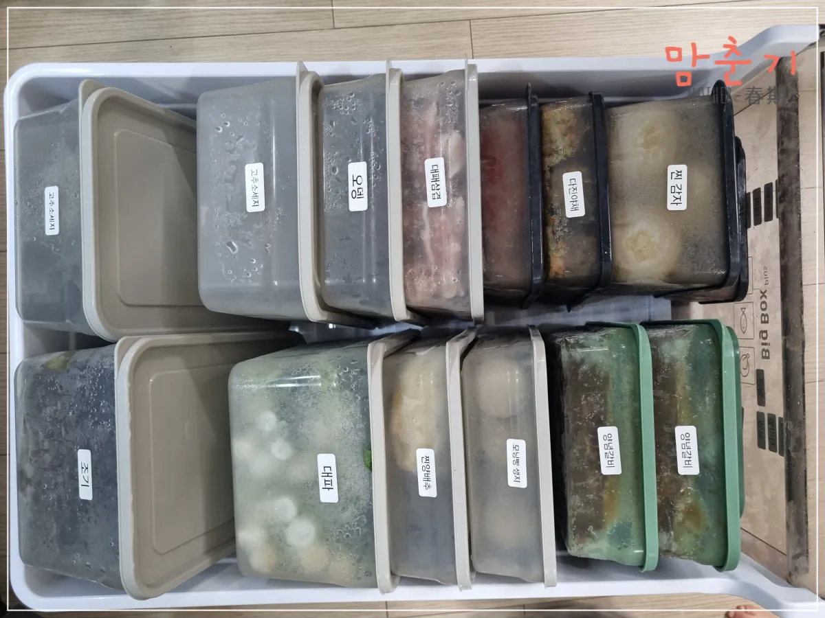 다이소-정리용기-말랑핏-추천-냉동고정리-모습