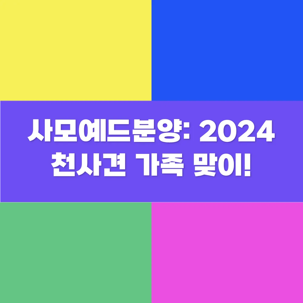 썸네일 이미지
