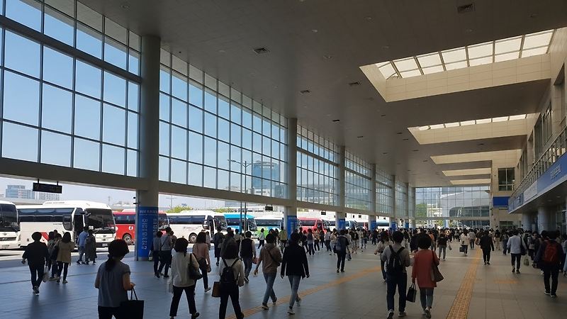 2026 설날 고속버스 예매 완벽 가이드