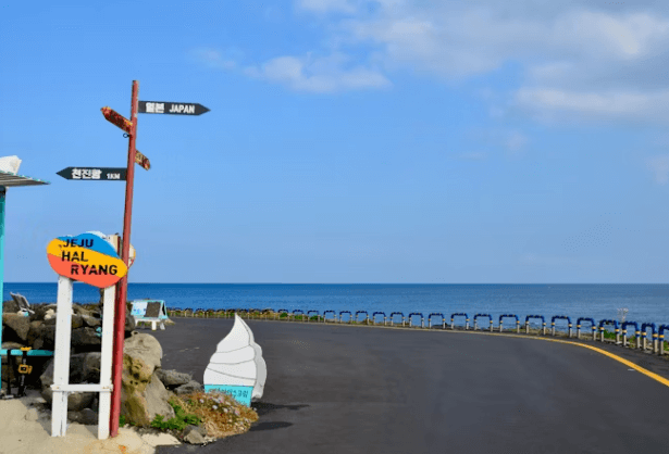 차량 운행 풀린 우도&amp;#44; 여행 전 필수 체크리스트