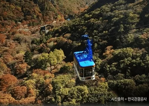 내장산-케이블카