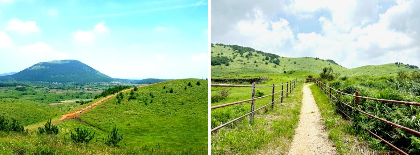 봄에 꼭 가봐야 할 제주도 명소 BEST 4곳 중 '용눈이오름'