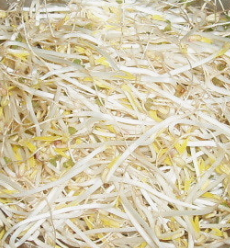 숙주나물의 효능 부작용 요리 고르는법