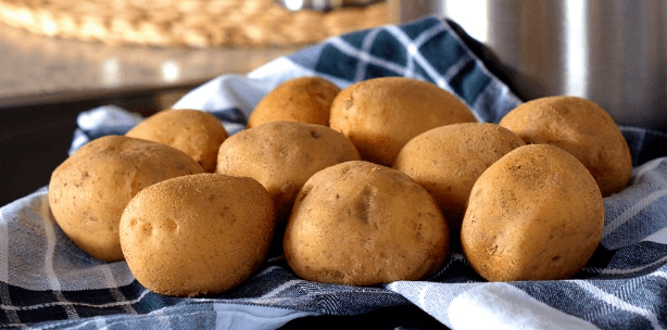 위에 좋은 음식